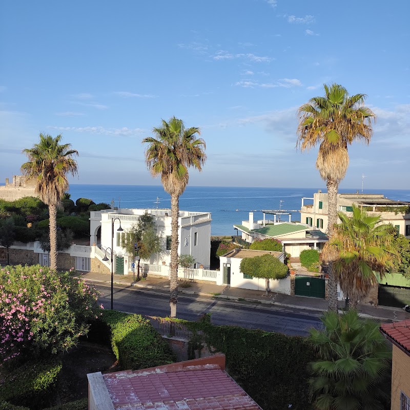 Immagine di Copertina