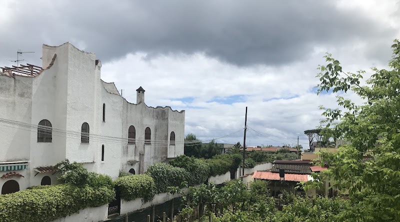 Immagine di Copertina