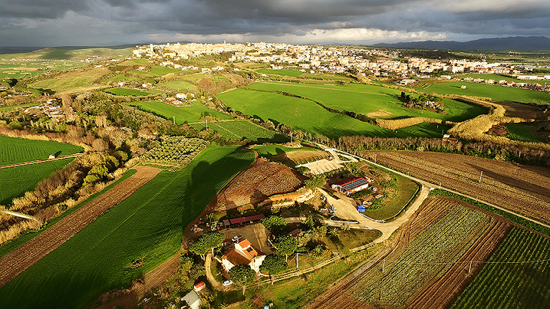 Immagine di Copertina