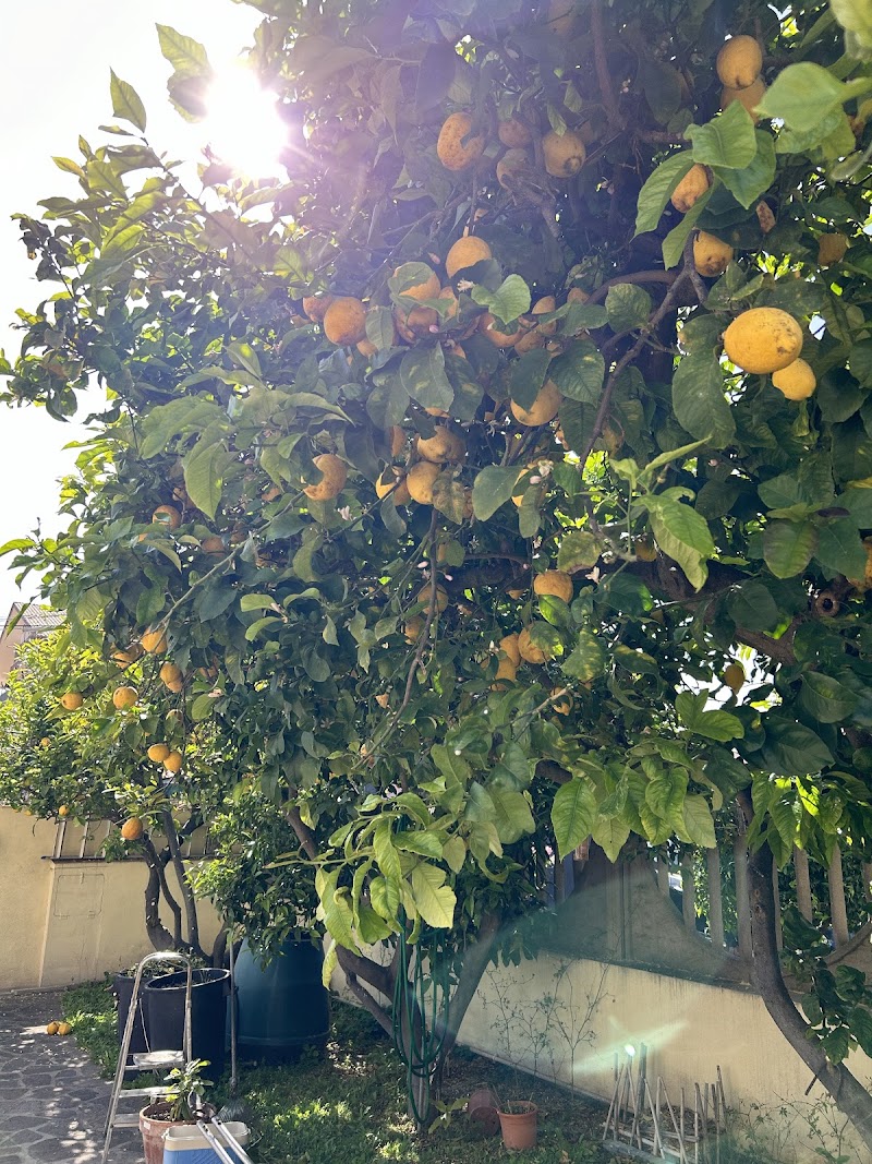 Immagine di Copertina