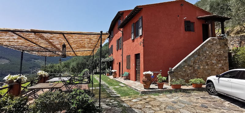 Immagine di Copertina