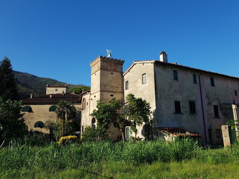 Immagine di Copertina