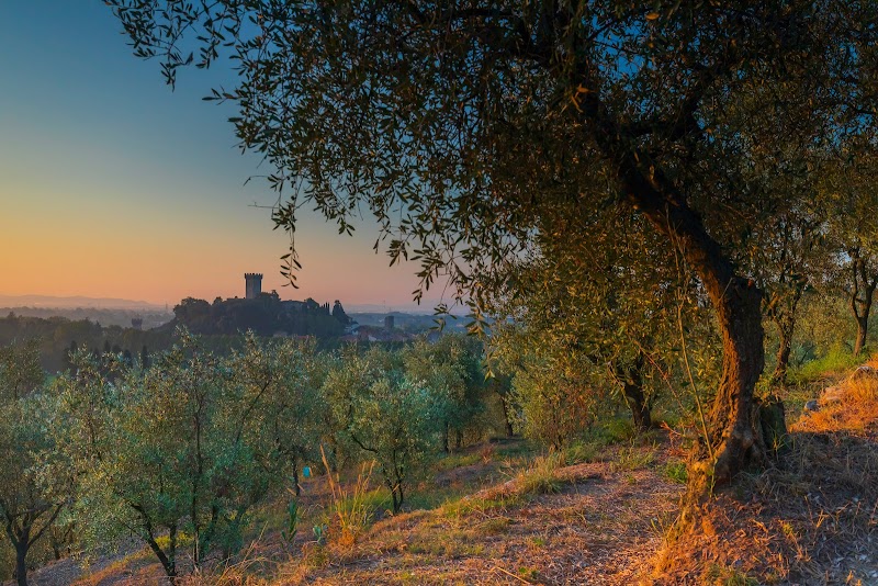 Immagine di Copertina