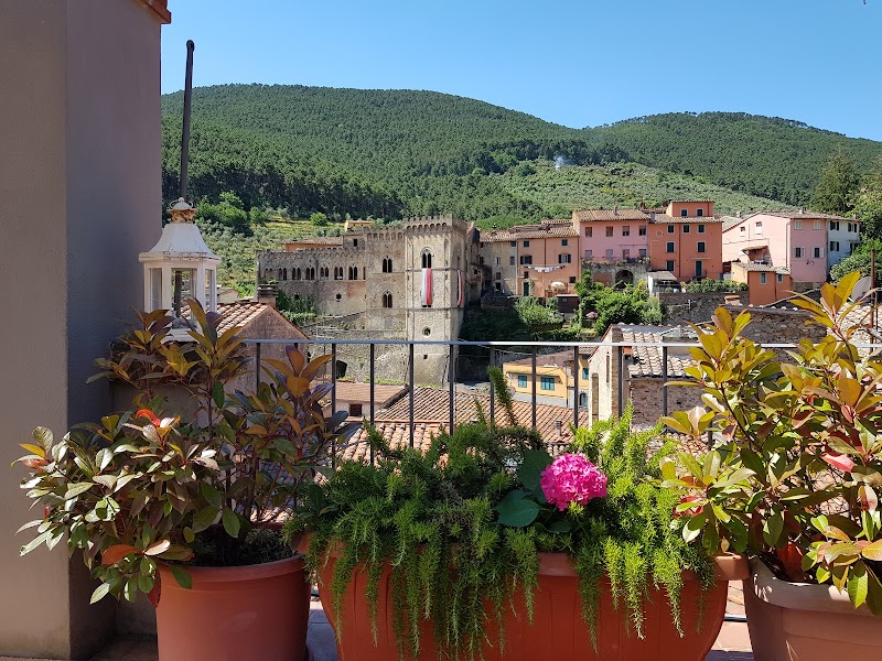 Immagine di Copertina