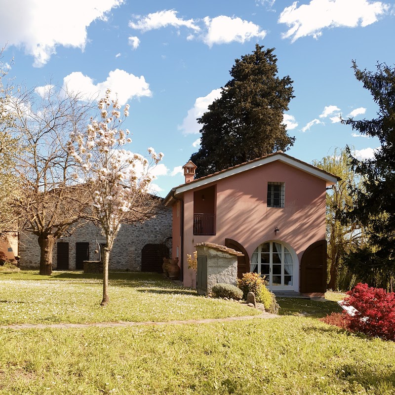 Immagine di Copertina