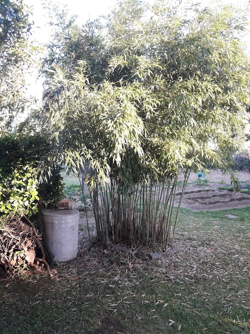 bed&amp;breakfast Benedetta