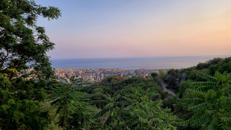 Immagine di Copertina