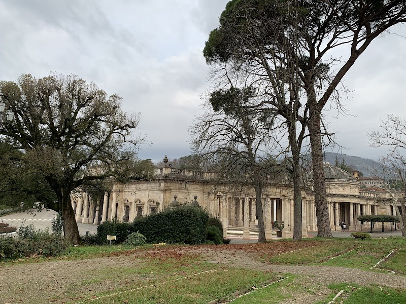 Immagine di Copertina