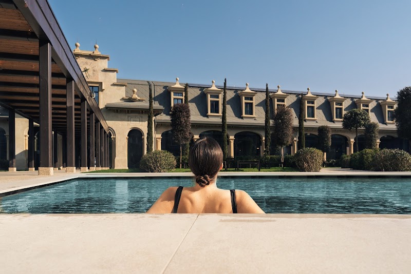 Immagine di Copertina