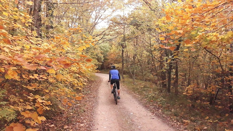 Immagine di Copertina